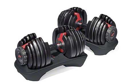 Bowflex Dumbbells