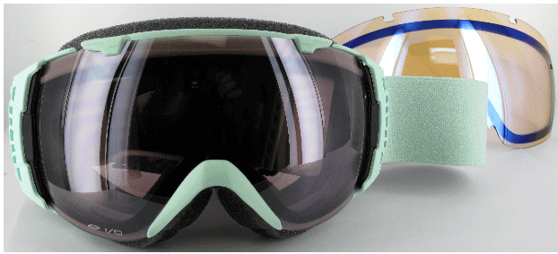 Ebay Smith Goggles